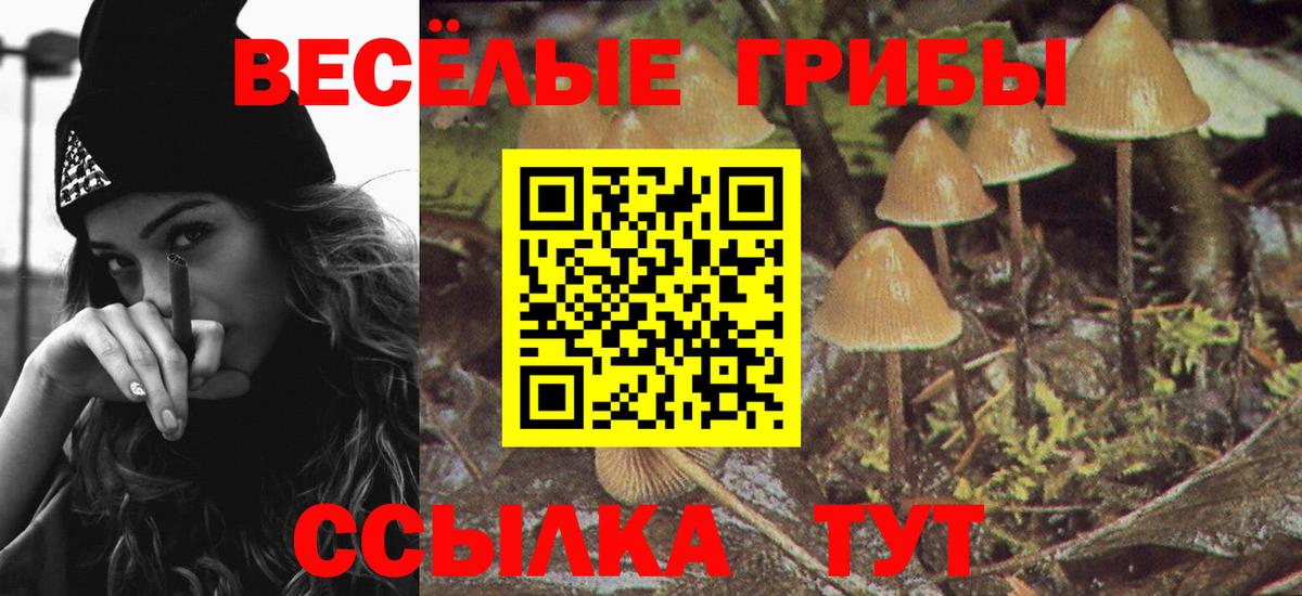 Галлюциногенные грибы Magic Shrooms  Вход с VPN  Семилуки 